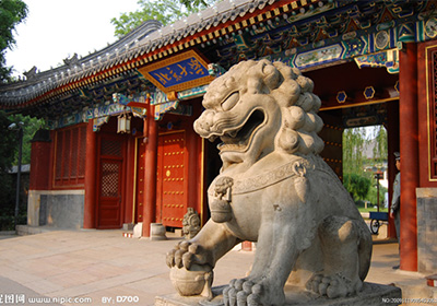 北京大学