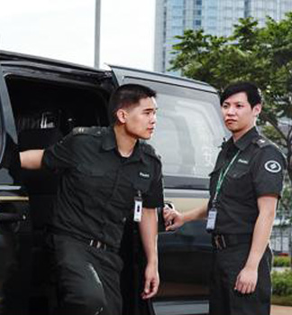 Property Security Service